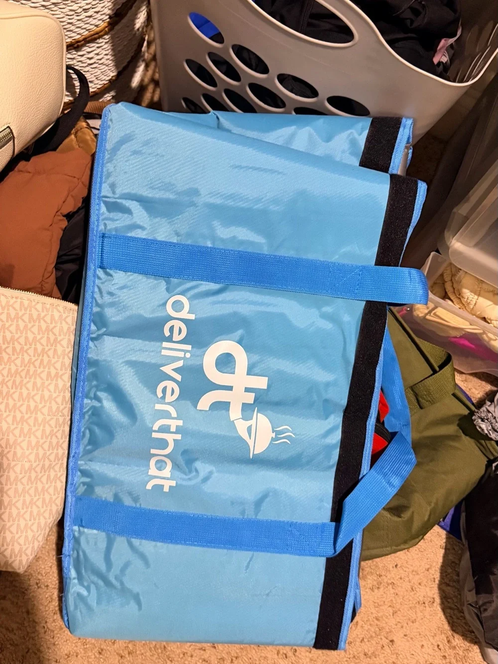 Insulated Delivery Bag in Light Blue
